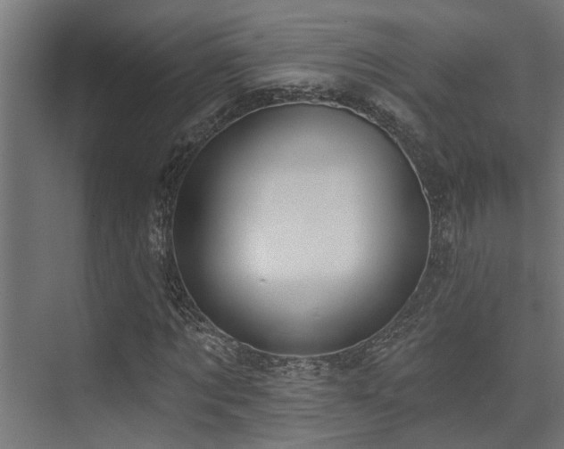 X0000075350869200609081147