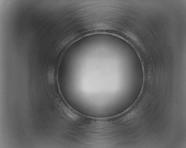 X0000075350873200609081147