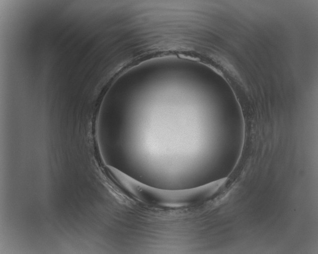 X0000075350881200609081147