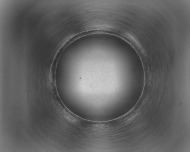 X0000075350883200609081147