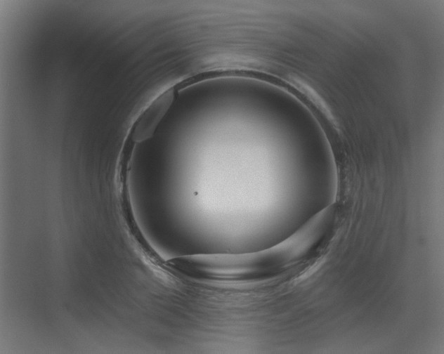 X0000075350885200609081146