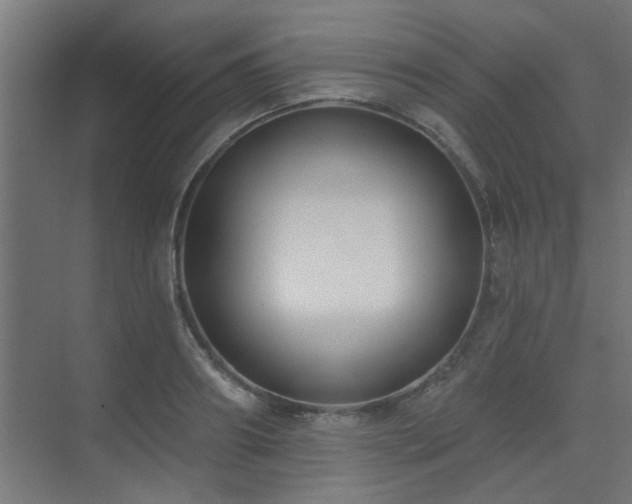 X0000075350890200609081146