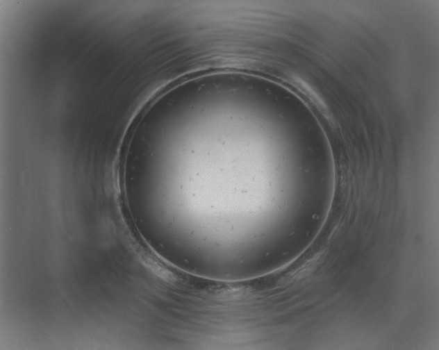 X0000075350891200609081146