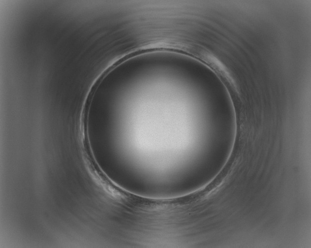 X0000075350892200609081146