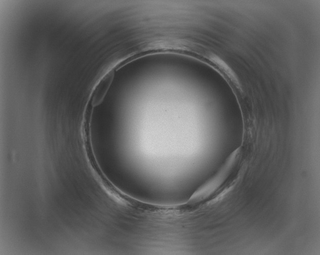 X0000075350893200609081146