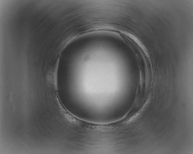 X0000075350905200609081146