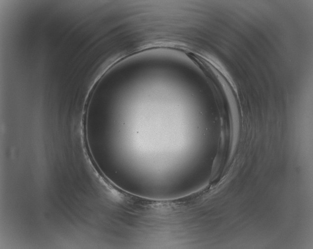 X0000075350906200609081146
