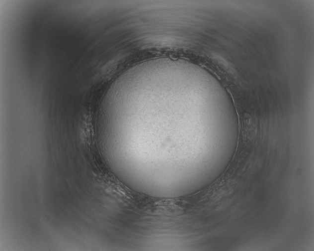 X0000075350918200609081145