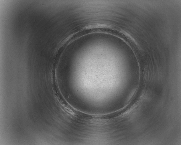 X0000075350921200609081145