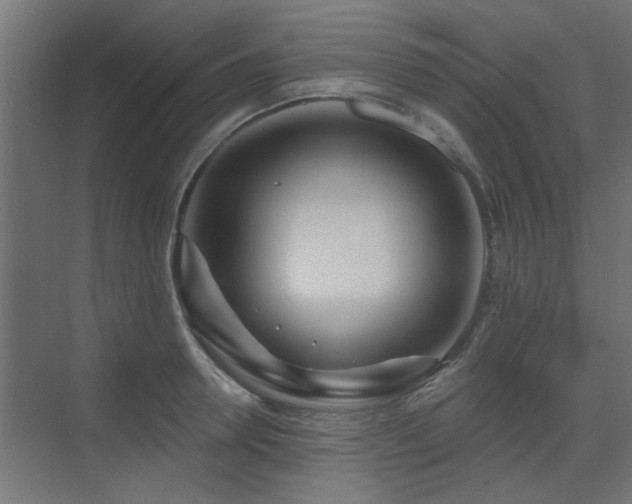 X0000075350946200609081146