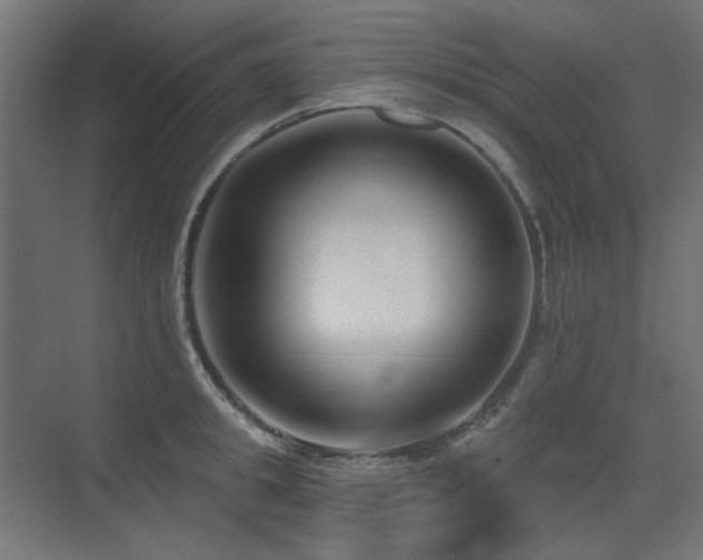 X0000075350949200609081146