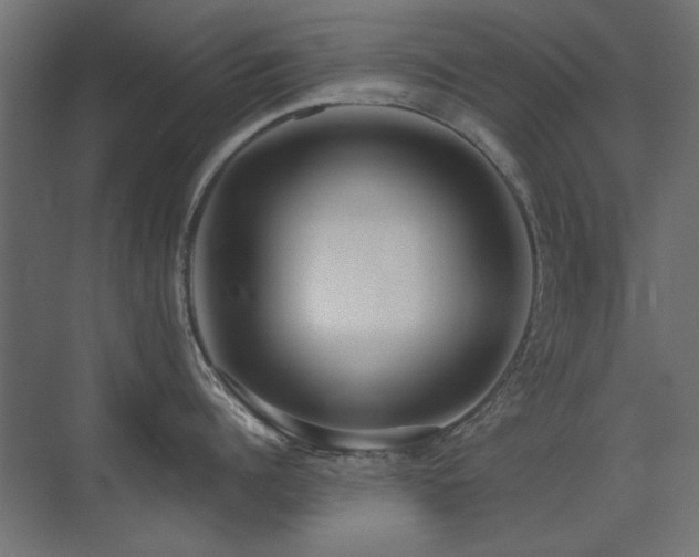 X0000075350960200609081146