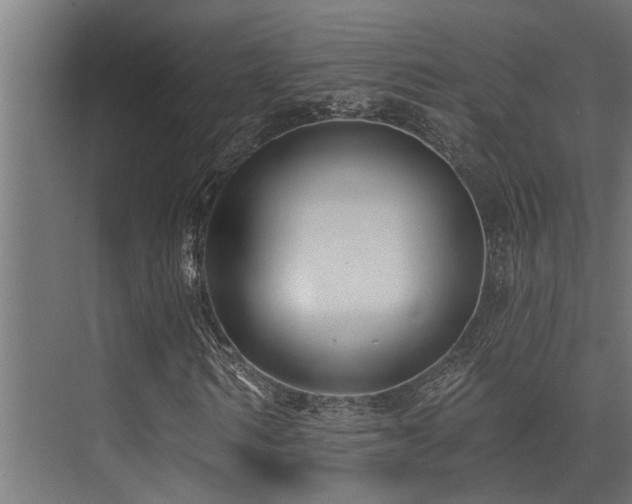 X0000075350962200609081145
