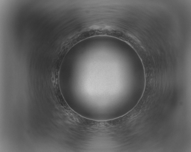 X0000075350966200609081145