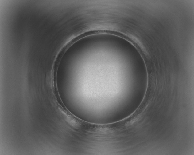 X0000075350982200609081145