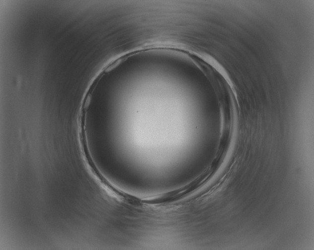 X0000075351005200609081144