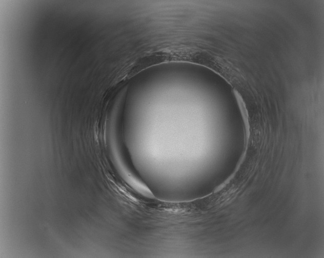 X0000075351010200609081144