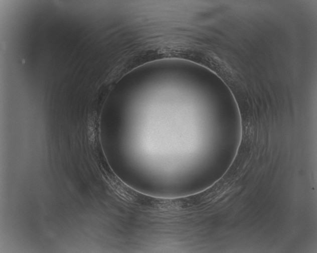 X0000075351012200609081144