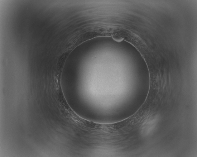 X0000075351013200609081144