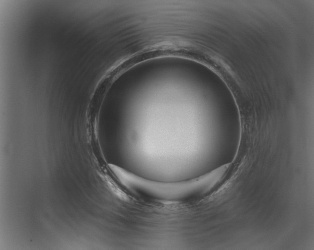 X0000075351018200609081144