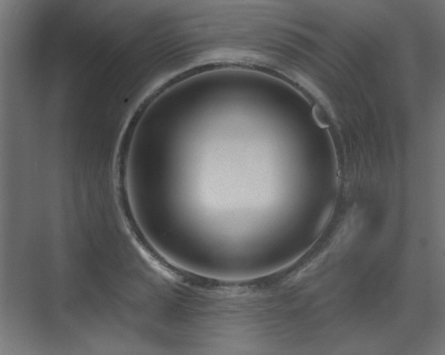 X0000075351037200609081144