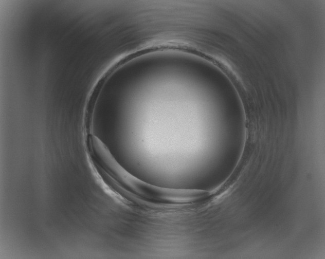 X0000075351038200609081144