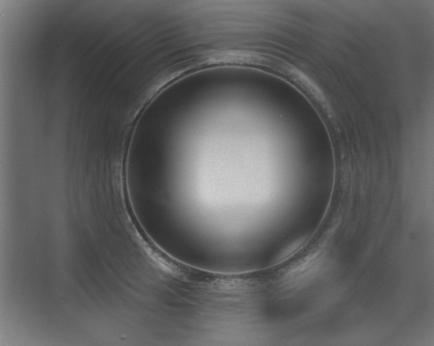 X0000075351041200609081144