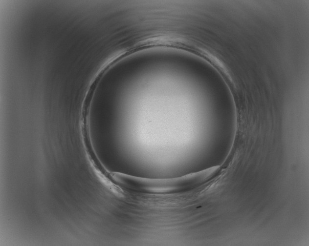 X0000075351042200609081144