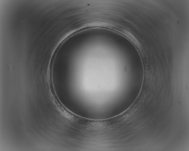 X0000075351044200609081144