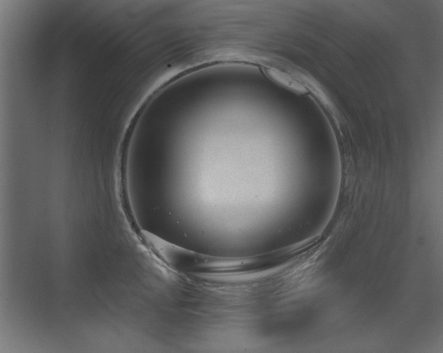X0000075351048200609081144