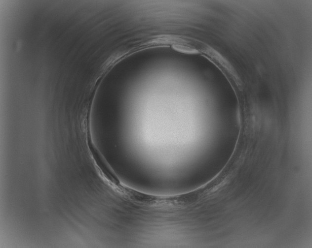 X0000075351049200609081144