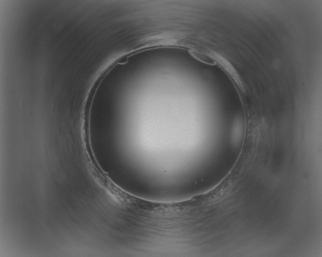 X0000075351051200609081144