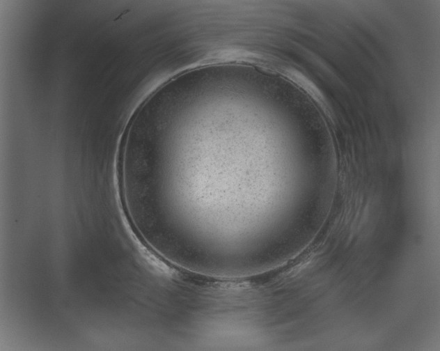 X0000075351055200609081144