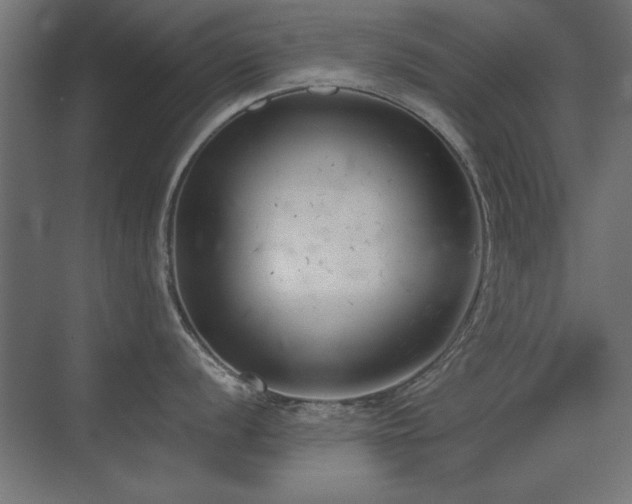 X0000075351056200609081144