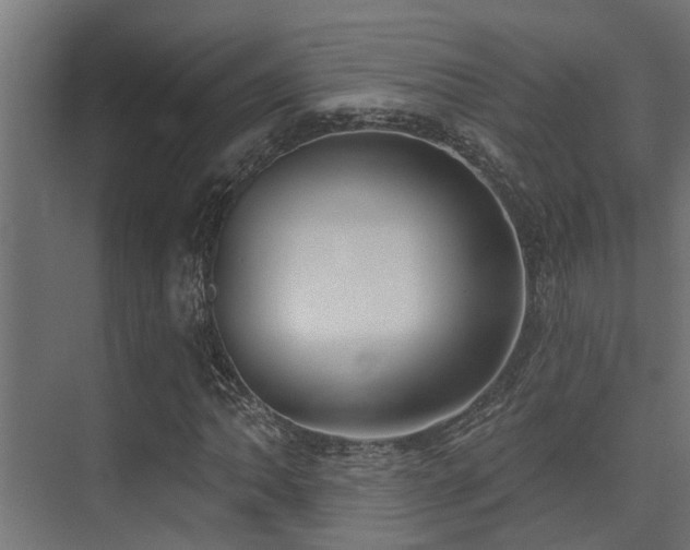 X0000075351062200609081143