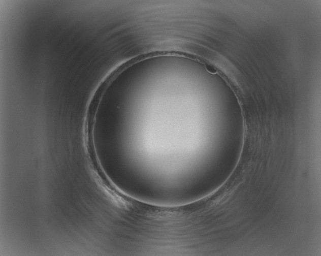 X0000075351076200609081143