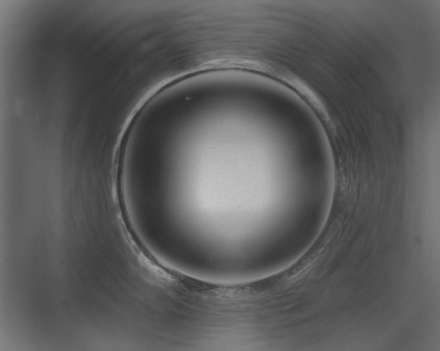 X0000075351102200609081143