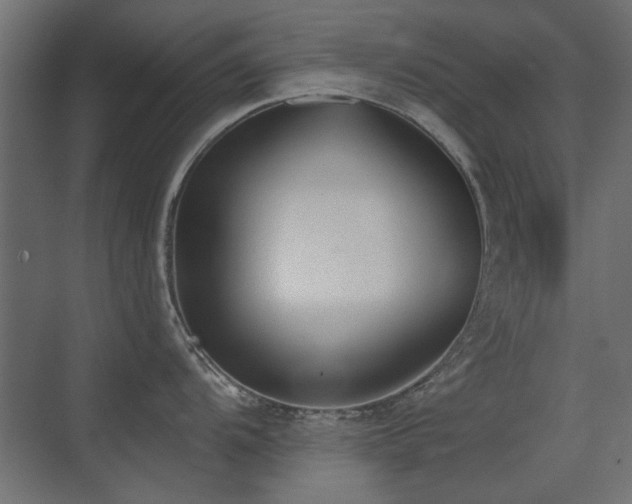 X0000075351104200609081143