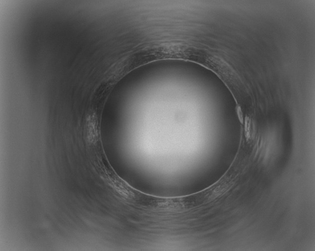 X0000075351107200609081142