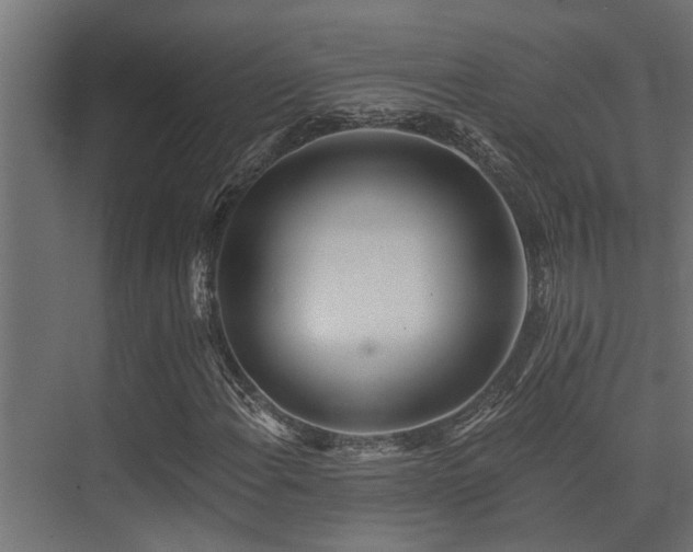 X0000075351108200609081142