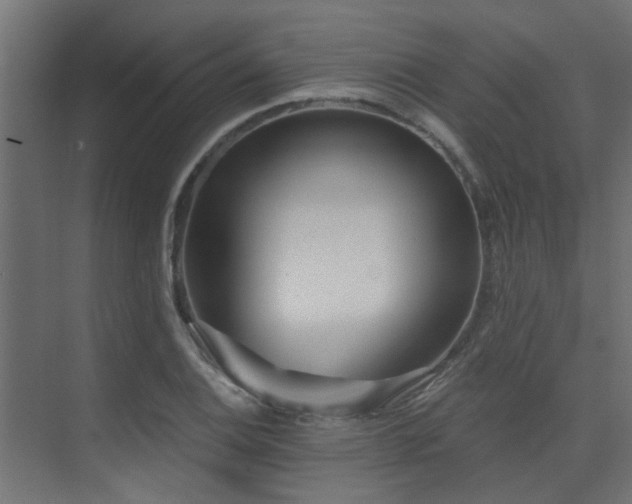X0000075351124200609081142