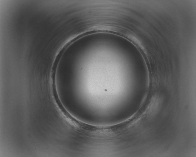 X0000075351133200609081142