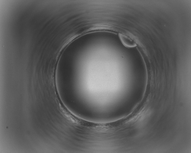X0000075351137200609081143