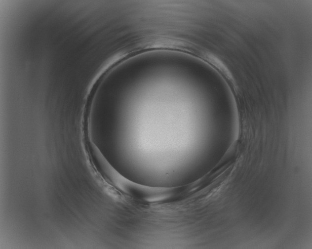 X0000075351138200609081143