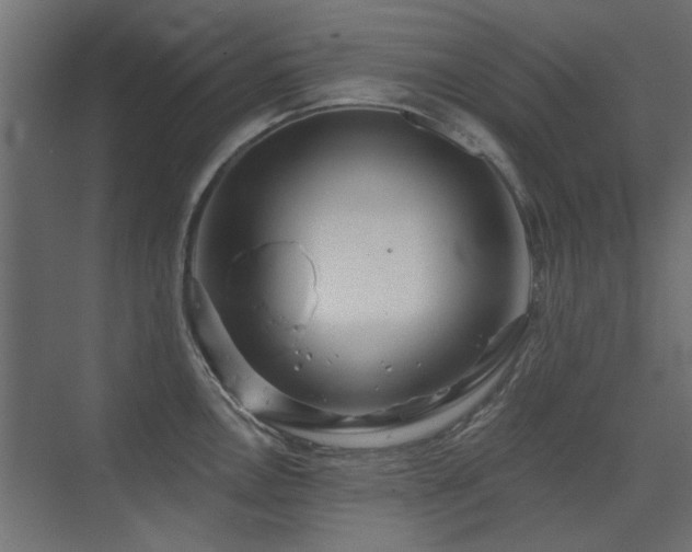 X0000075351146200609081143