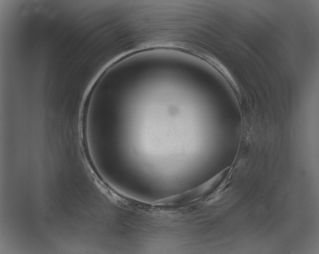 X0000075351148200609081143