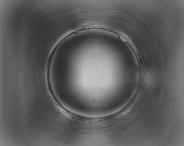 X0000075351149200609081143