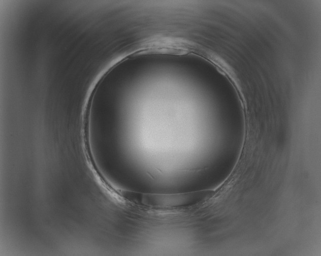 X0000075351152200609081143