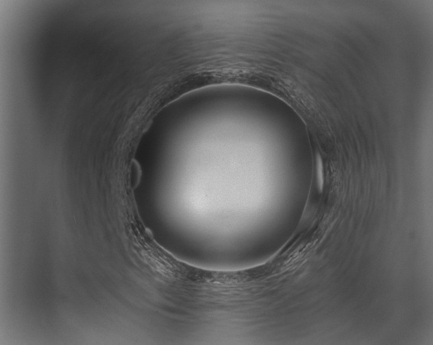 X0000075351153200609081142