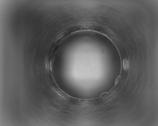 X0000075351155200609081142